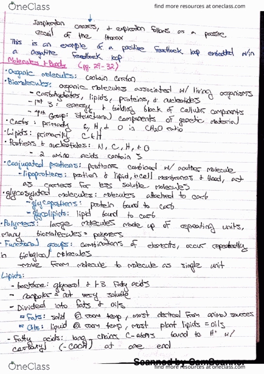 IPHY 3470 Chapter 2: Macromolecules thumbnail