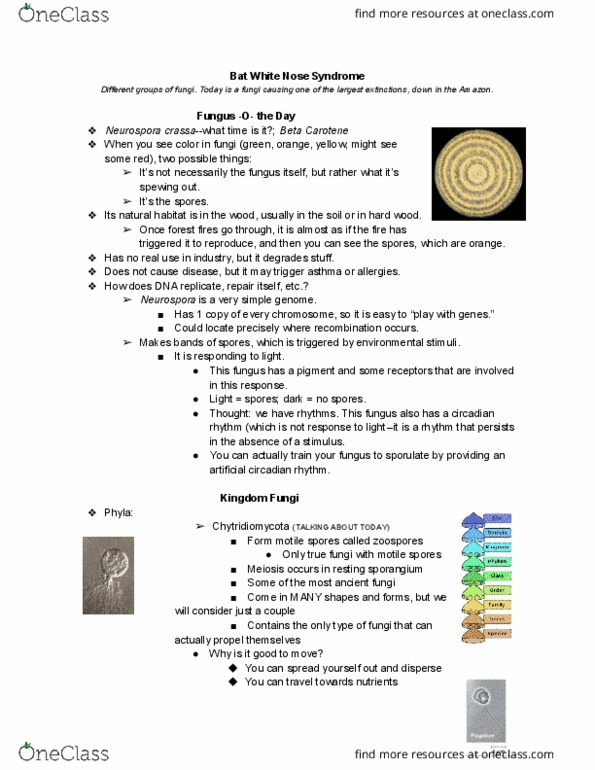 PLNTPTH 2000 Lecture Notes - Lecture 5: White Nose Syndrome, Circadian Rhythm, Petri Dish thumbnail