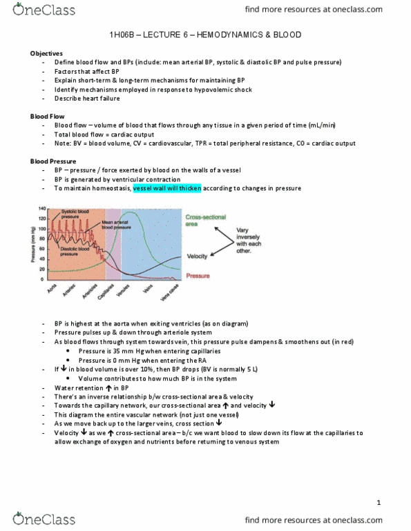 HTHSCI 1H06 Lecture Notes - Lecture 6: Dorsalis Pedis Artery, Vascular Resistance, Medulla Oblongata thumbnail