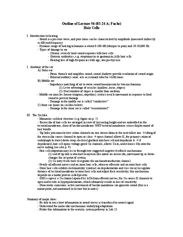 BIOL 2P94 Lecture Notes - Basilar Membrane, Streptomycin, Presbycusis thumbnail