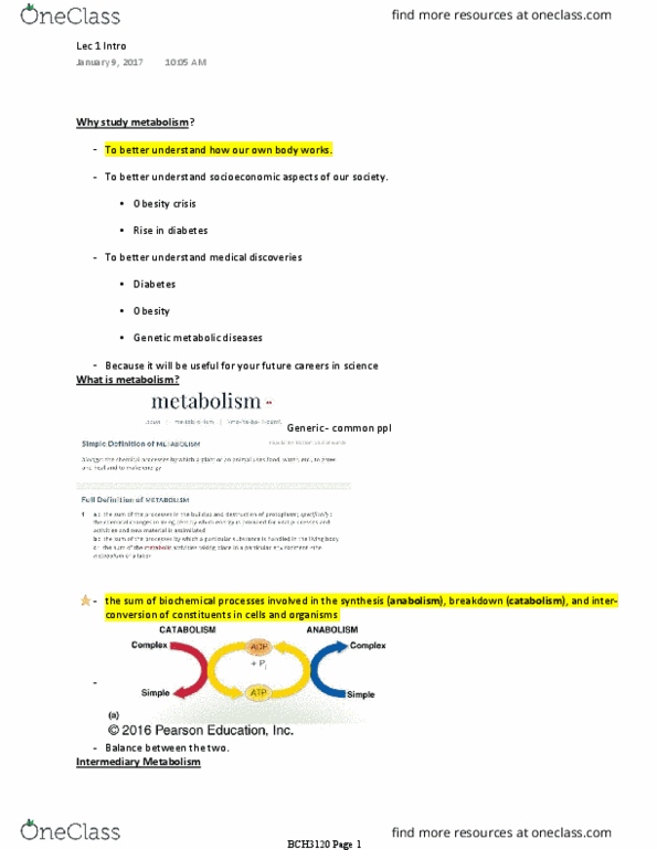 BCH 3120 Lecture Notes - Lecture 1: Exergonic Reaction, Metabolic Pathway, Thermodynamics thumbnail