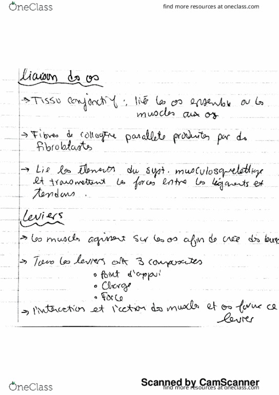 BIO 3703 Lecture 2: Fin de locomotion 1 et locomotion 2 thumbnail