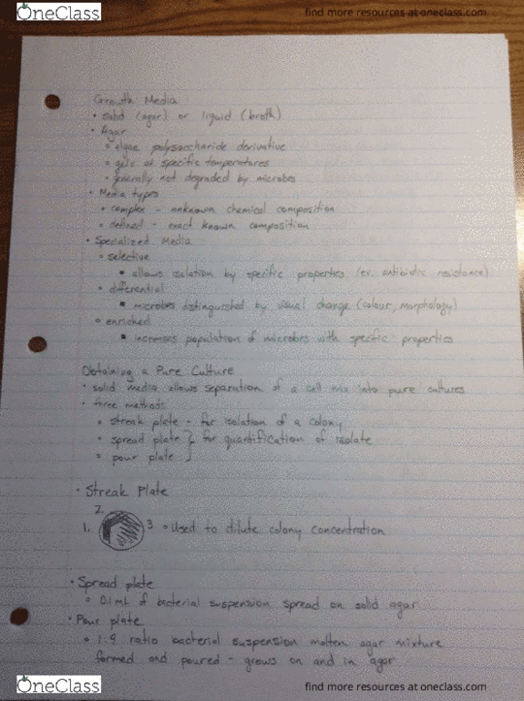 BIOL240 Lecture Notes - Lecture 9: Sam Groth, Bactericide, Synthes thumbnail
