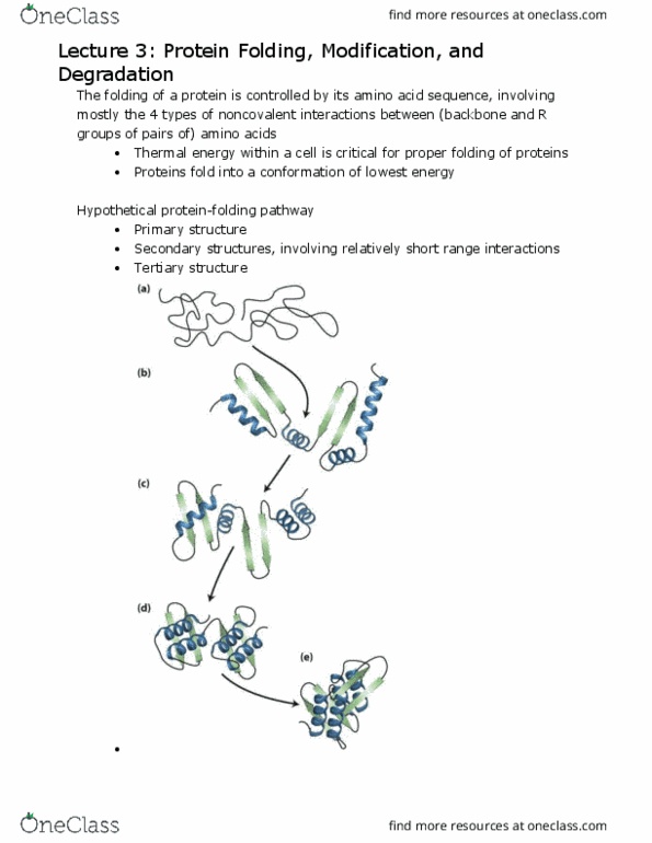 BIO 320 Lecture Notes - Lecture 3: Glycosylation, Methylation, Atp Hydrolysis thumbnail
