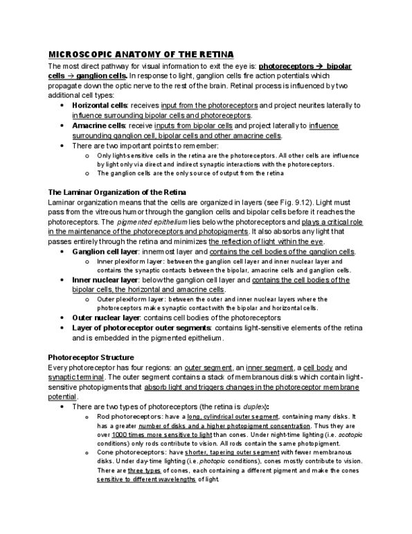 PSYC 494N1 Lecture Notes - Vitreous Body, Visual Acuity, Scotopic Vision thumbnail