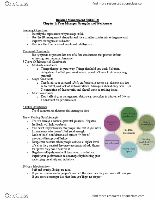 COMMERCE 3S03 Lecture Notes - Lecture 2: Self-Awareness, Peter Principle, Amusia thumbnail