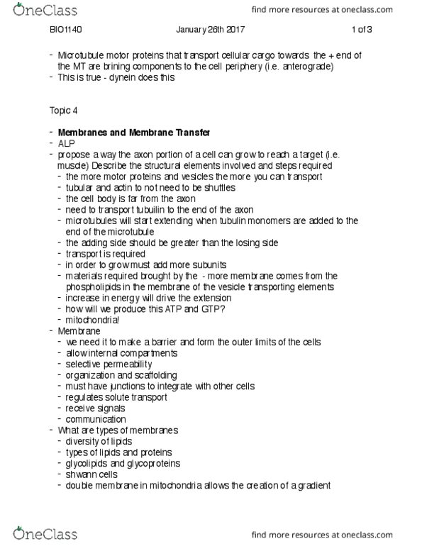 BIO 1140 Lecture Notes - Lecture 6: Glycerol, Phospholipid, Tubulin thumbnail