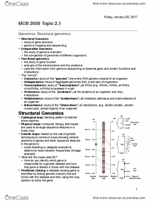 MCB 2050 Lecture Notes - Lecture 5: Chronic Myelogenous Leukemia, Chromatography, Haplotype thumbnail