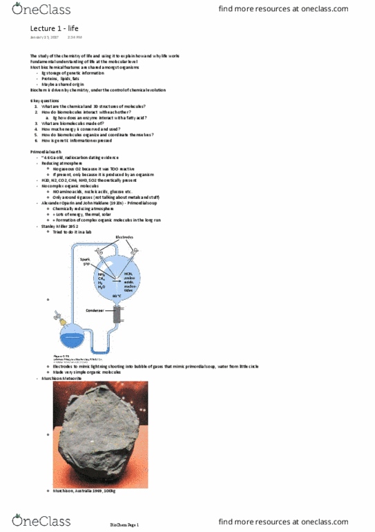 BCH 2333 Lecture Notes - Lecture 1: Carbohydrate, Reducing Atmosphere, Nucleobase thumbnail