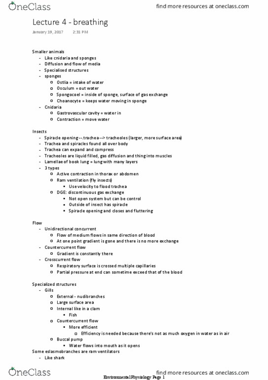 BIO 2110 Lecture Notes - Lecture 4: Central Pattern Generator, Feedback, Myoglobin thumbnail