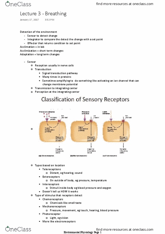 document preview image