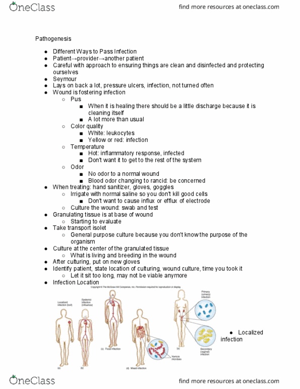 NURS 3110 Lecture Notes - Lecture 4: Focal Infection Theory, Rodent, Orthohantavirus thumbnail
