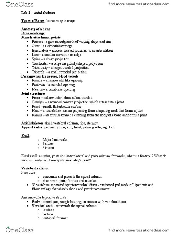 BIOL 221L Lecture Notes - Lecture 1: Fontanelle, Foramen, Coccyx thumbnail