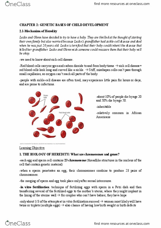 01:830:331 Chapter Notes - Chapter 2.1: Phenylalanine, Malaria, Adenine thumbnail