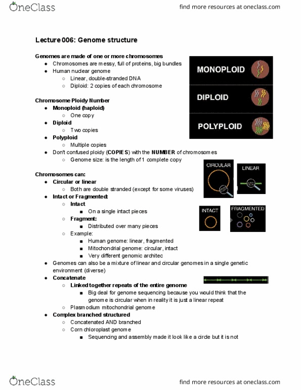 Biology 2581B Lecture Notes - Lecture 6: Human Genome, Alphaproteobacteria, Plasmodium thumbnail