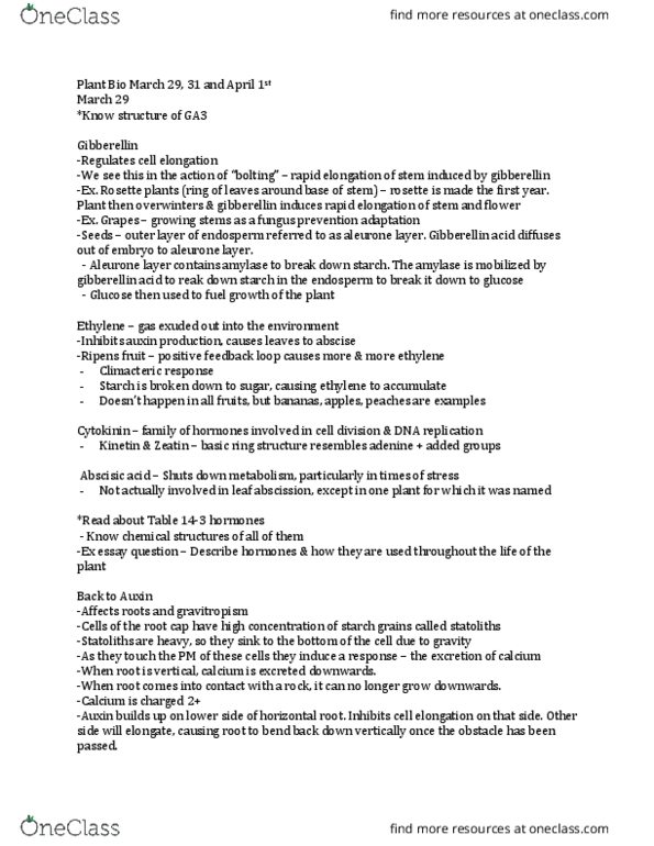 BIO 202 Lecture Notes - Lecture 9: Sieve Tube Element, Plasmodesma, Root Pressure thumbnail