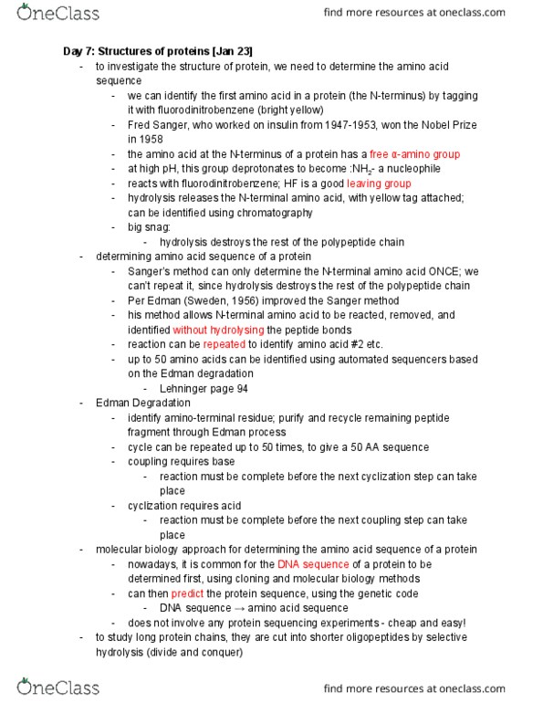 BIOC 2580 Lecture Notes - Lecture 7: Homoserine, Trypsin, Digestive Enzyme thumbnail