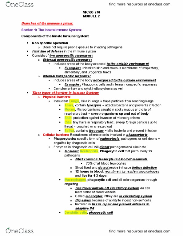 MICR 270 Lecture Notes - Lecture 2: Phagosome, Lymphocyte, Macrophage thumbnail