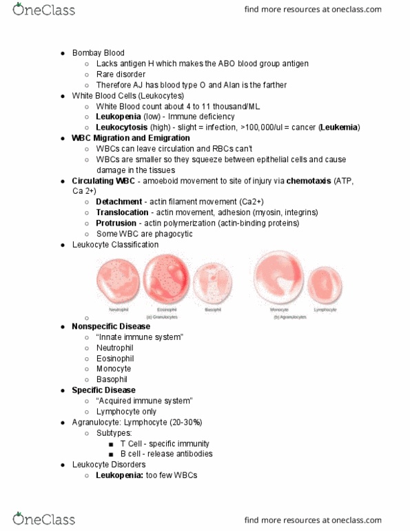 PNB 2265 Lecture Notes - Lecture 5: Agranulocyte, Leukocytosis, Antigen thumbnail