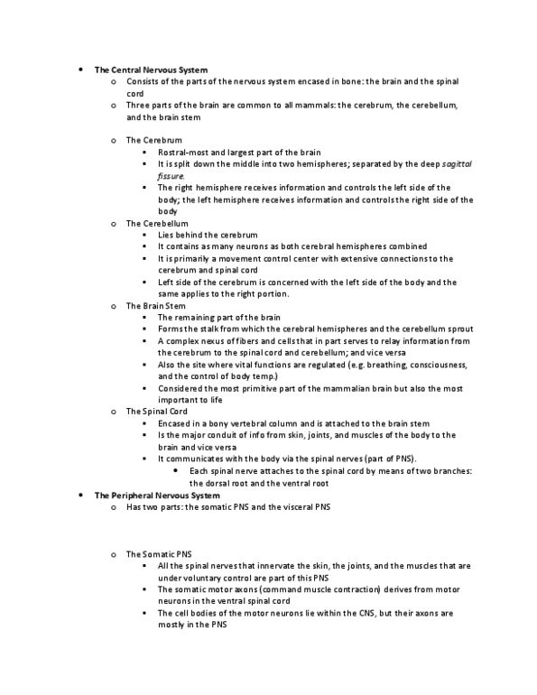 PSYC 494N1 Lecture Notes - Spinal Nerve, Peripheral Nervous System, Dorsal Root Of Spinal Nerve thumbnail