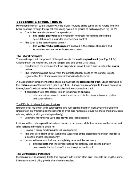 PSYC 494N1 Lecture Notes - Rubrospinal Tract, Lateral Grey Column, Red Nucleus thumbnail