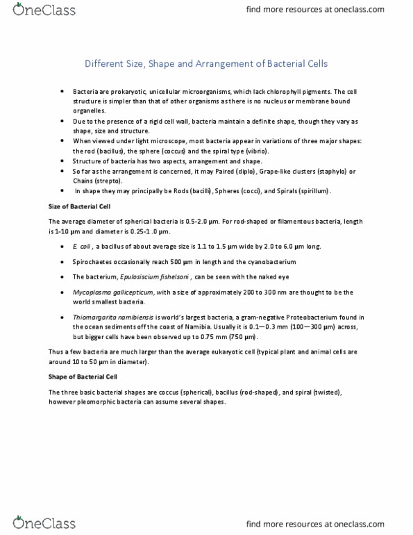 BIOL 3052 Lecture Notes - Lecture 13: Klebsiella Pneumoniae, Treponema Pallidum, Neisseria thumbnail