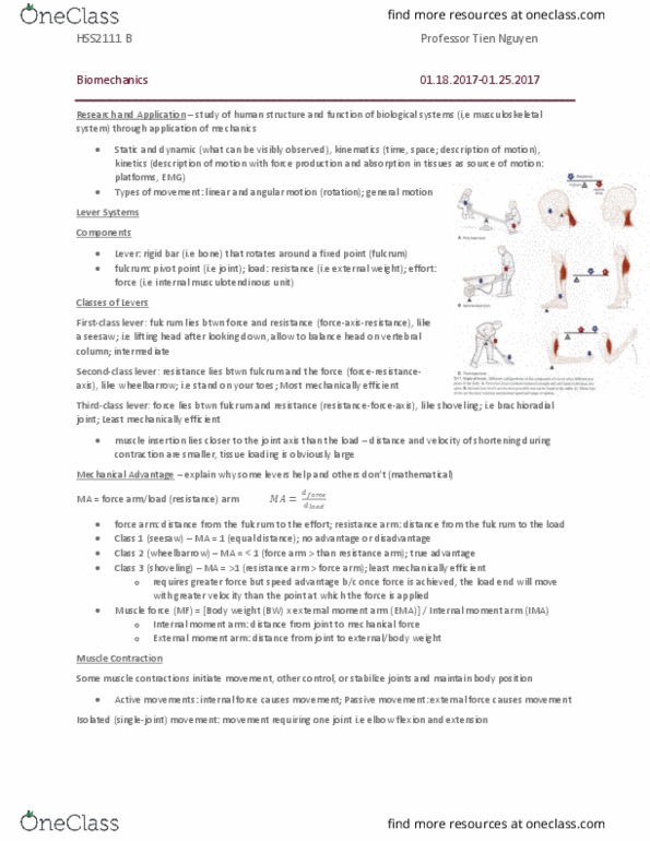 HSS 2111 Lecture 3: Biomechanics thumbnail