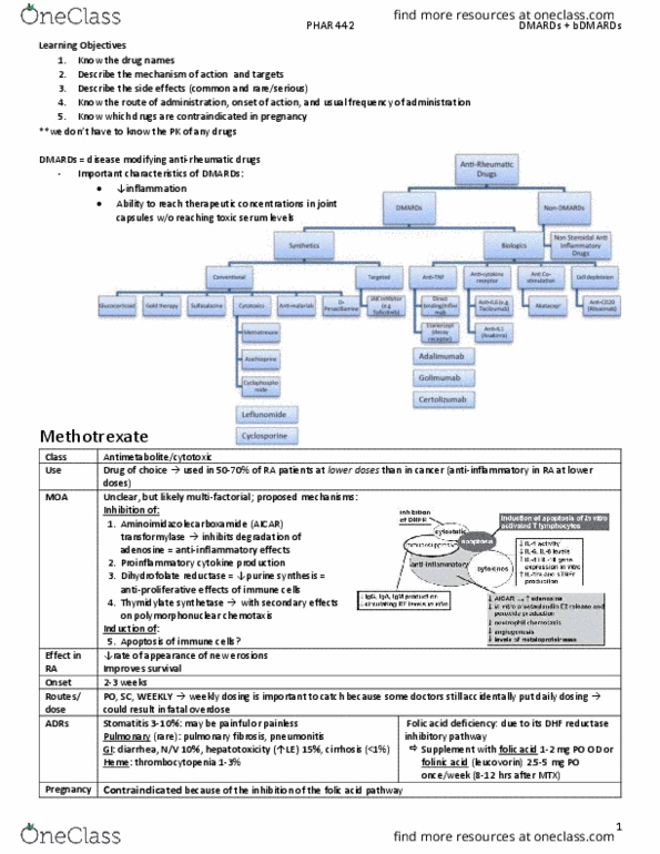 PHAR 442 Lecture 1: 1. DMARDs and bDMARDs thumbnail