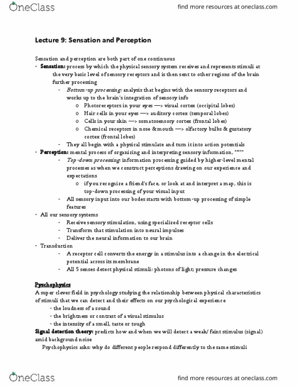 PSYC 1 Lecture Notes - Lecture 9: Detection Theory, Absolute Threshold, Visual Cortex thumbnail