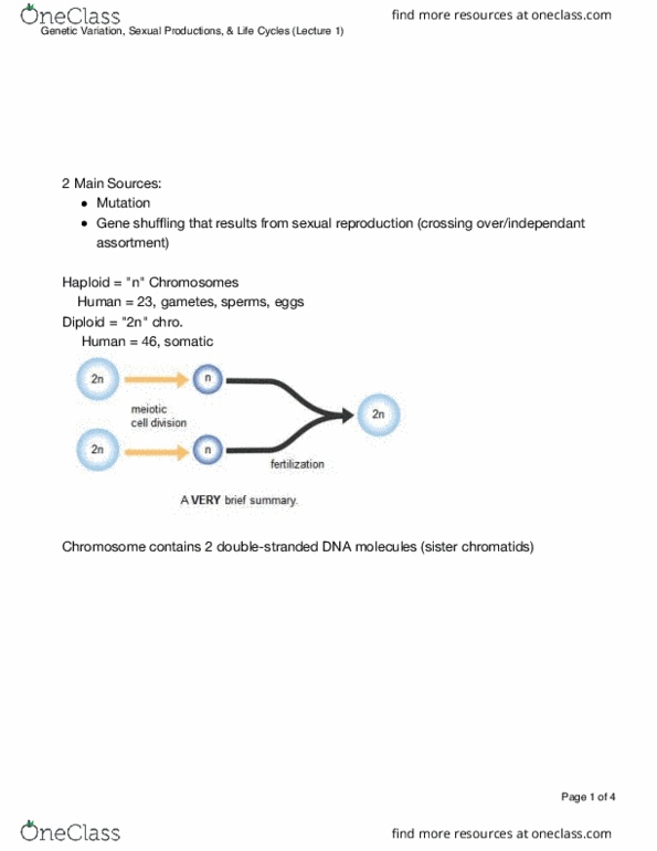 BIO 311D Lecture Notes - Lecture 1: Sister Chromatids, Synaptonemal Complex, Mendelian Inheritance thumbnail