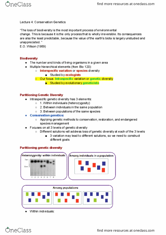 BIO220H1 Lecture Notes - Lecture 4: Conservation Genetics, Inbreeding Depression, Genetic Drift thumbnail