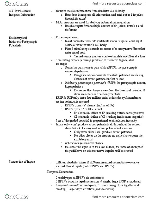 HMB200H1 Chapter Notes - Chapter 4.3: Axon Hillock, Threshold Potential, Resting Potential thumbnail