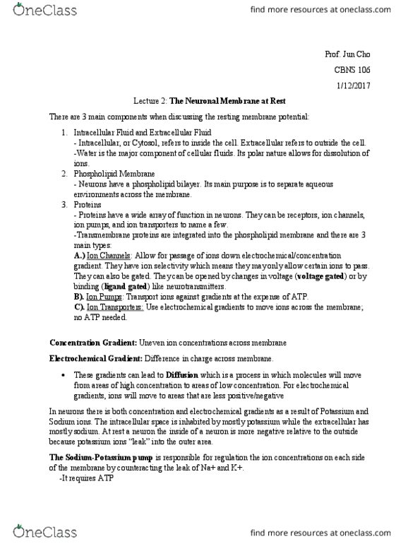 CBNS 106 Lecture Notes - Lecture 2: Electrochemical Gradient, Resting Potential, Lipid Bilayer thumbnail