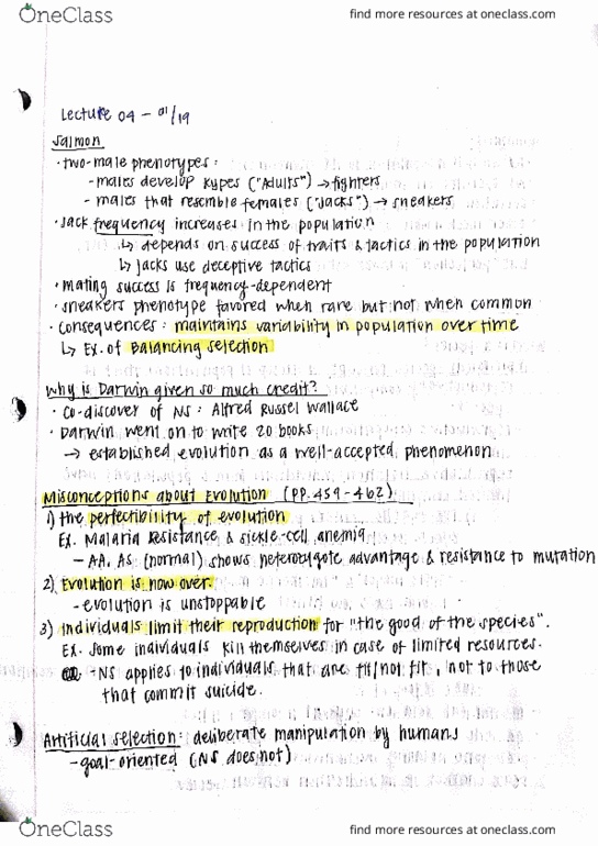 BIO SCI 94 Lecture Notes - Lecture 4: Butes, High-Altitude Pulmonary Edema, Lection thumbnail