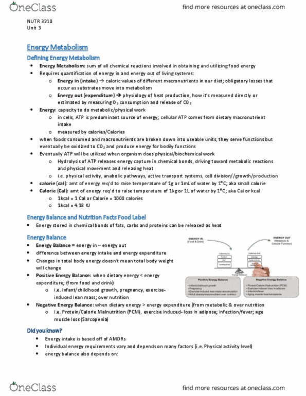 NUTR 3210 Lecture 3: Unit 3 thumbnail
