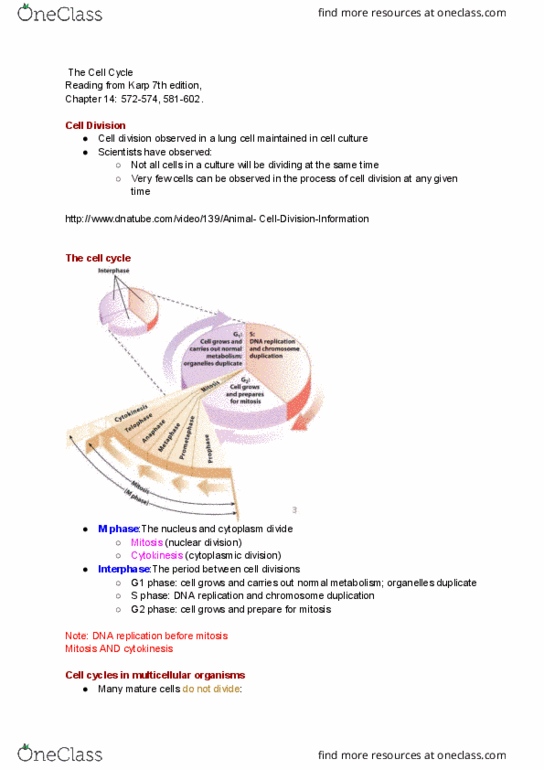 BIO130H1 Lecture Notes - Lecture 6: Spindle Apparatus, Nuclear Lamina, G2 Phase thumbnail