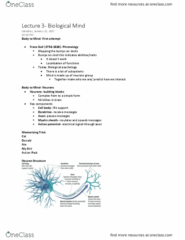 PSYC 1000U Lecture Notes - Lecture 3: Peripheral Nervous System, Autonomic Nervous System, Central Nervous System thumbnail