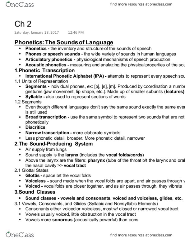 LING 080 Chapter Notes - Chapter 2: Articulatory Phonetics, Acoustic Phonetics, Vocal Folds thumbnail