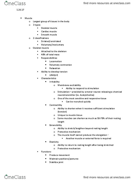 KIN 3309 Lecture Notes - Lecture 4: Rectus Femoris Muscle, Biceps, Skeletal Muscle thumbnail