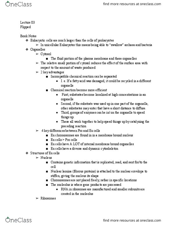 MCB 150 Lecture Notes - Lecture 3: Endoplasmic Reticulum, Nuclear Membrane, Nuclear Lamina thumbnail