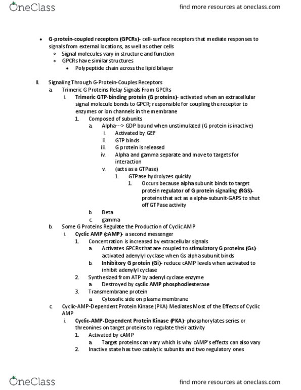 BIO 211 Lecture Notes - Lecture 5: Phosphatidylinositol 4,5-Bisphosphate, Gs Alpha Subunit, Adenylyl Cyclase thumbnail