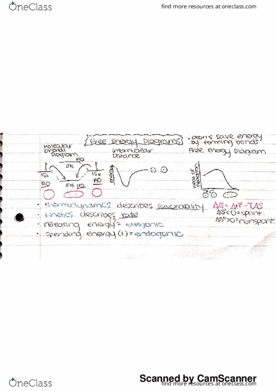 CHEM-C 341 Chapter 2: Free Energy Diagrams, Nucleophiles and Electrophiles, Acids and Bases thumbnail