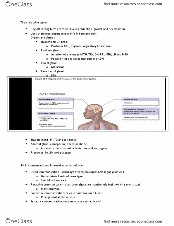 PLN 203 Lecture Notes - Lecture 1: Protein Kinase C, Thyroid, Pituitary Gland thumbnail