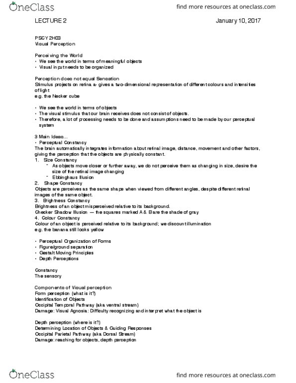 PSYCH 2H03 Lecture Notes - Lecture 2: Subjective Constancy, Visual Perception, Necker Cube thumbnail