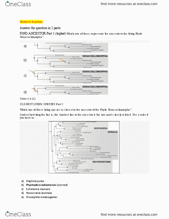 BIOL 202 Lecture Notes - Lecture 9: Xenacoelomorpha, Cassidinae, Myriapoda thumbnail