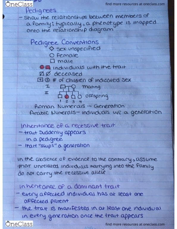 BIOL 1090 Lecture 6: Pedigrees - OneClass