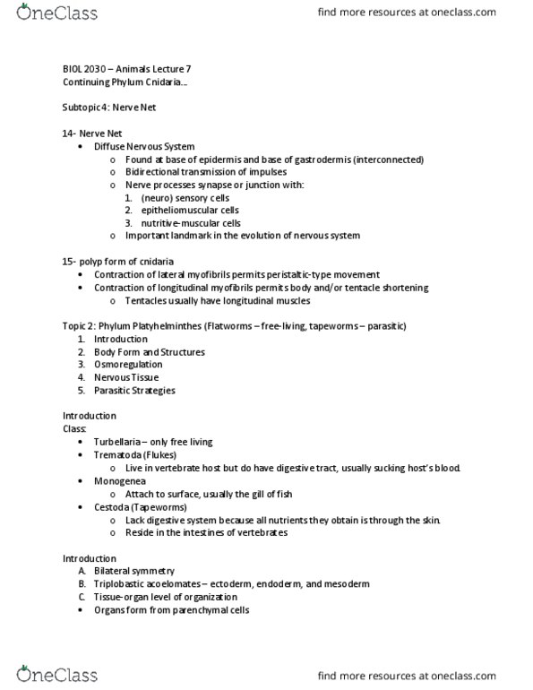 BIOL 2030 Lecture Notes - Lecture 7: Symmetry In Biology, Rhabdite, Monogenea thumbnail