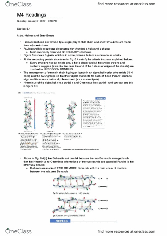 BIOCHEM 2EE3 Lecture Notes - Lecture 4: Epitope, Monomer, Antigen thumbnail
