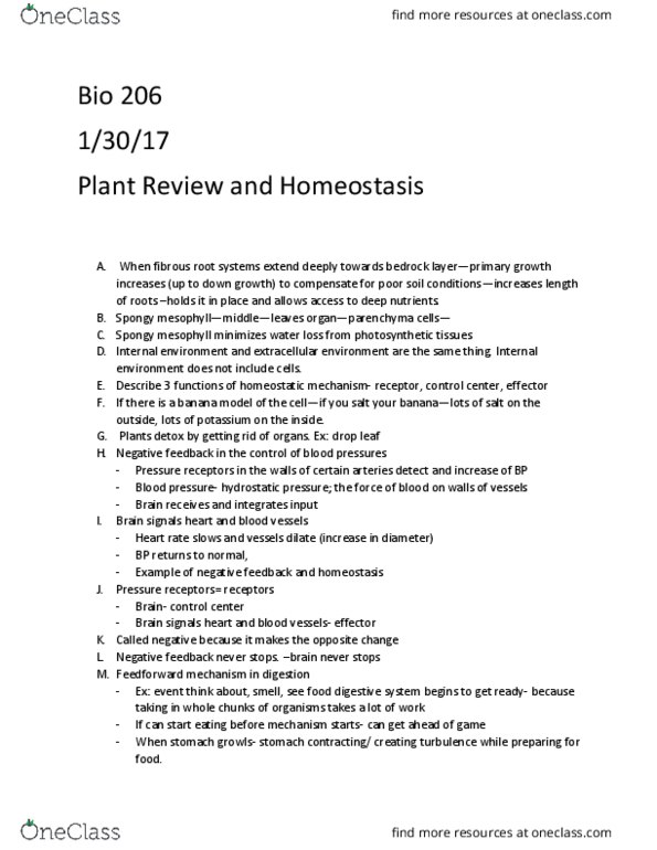 BIOL 206 Lecture Notes - Lecture 14: Homeothermy, Poikilotherm, Ectotherm thumbnail