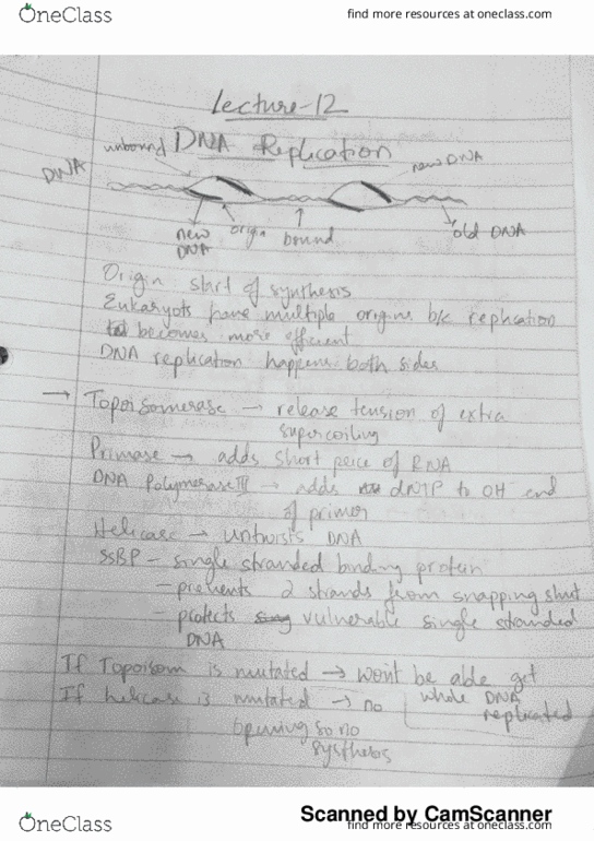 BIOL 200 Lecture 12: DNA Replication and Gene Regulation thumbnail